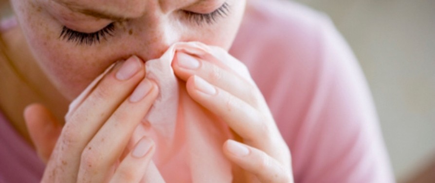 Gripe y virus respiratorios