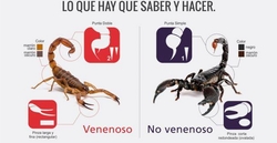 alacranes