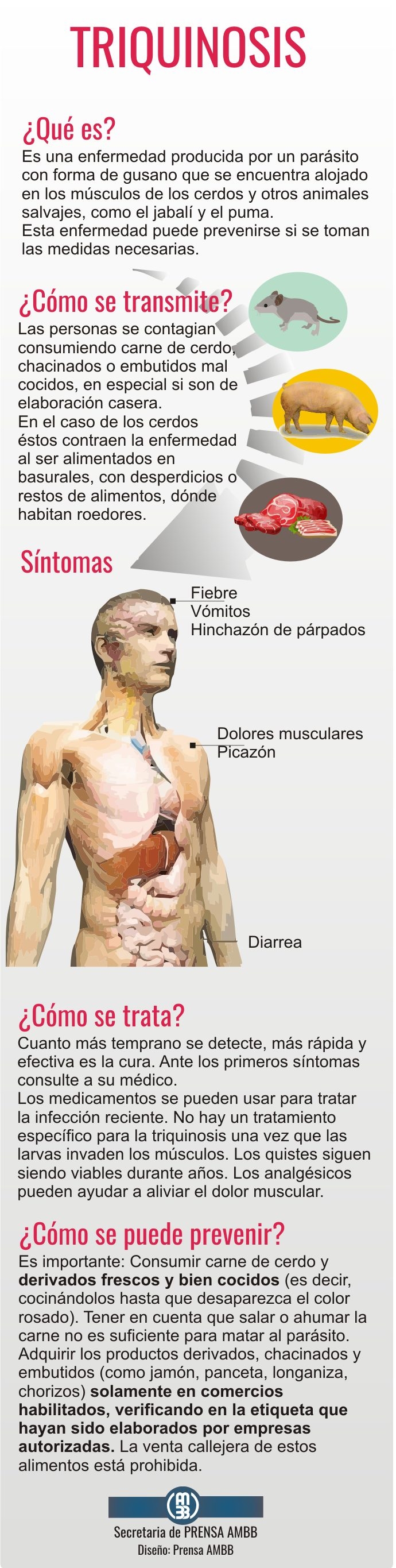 Infografia Alerta Triquinosis Prevencion AP